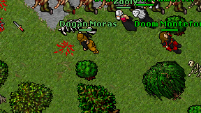 Dogan Moras on screen