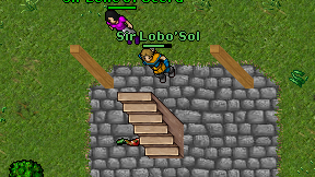 Sir Lobo'Sol on screen
