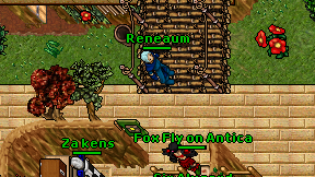 Reneaum on screen