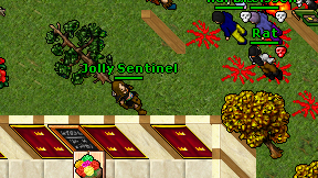 Jolly Sentinel on screen