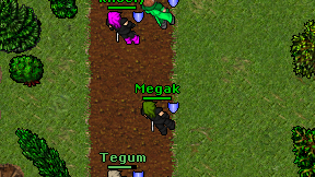 Megak on screen