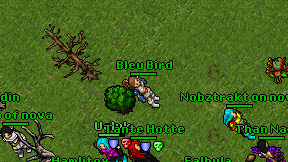 Bleu Bird on screen