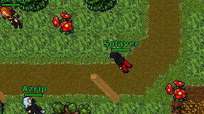 Solaver on screen