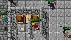 Lizonrdm on screen