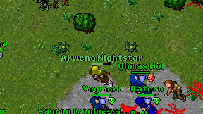Arwena Nightstar on screen