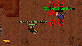 Master Muszek on screen