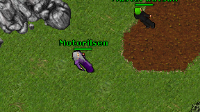 Motorilsen on screen