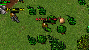 Astex Thor on screen