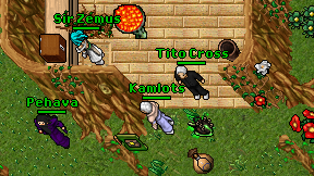 Kamlots on screen