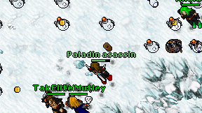 Paladin asassin on screen