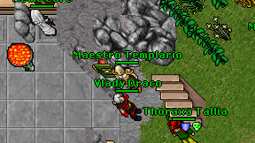 Maestro Templario on screen