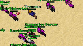 Icemaster Sorcer on screen