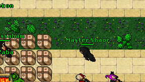 Master Shaor on screen