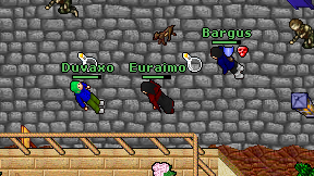 Euraimo on screen