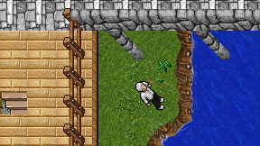 Takus Dragon on screen