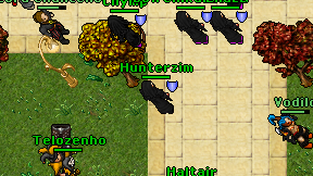 Hunterzim on screen