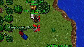 Head Druid on screen