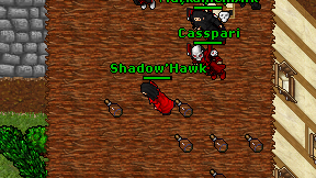 Shadow'Hawk on screen