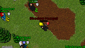 Shadow Nazgul on screen