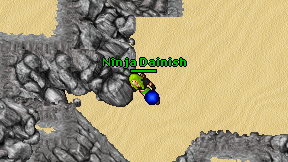Ninja Dainish on screen