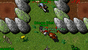 Diego Diel on screen