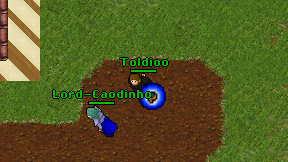 Toldioo on screen