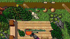 Golden Akiro on screen
