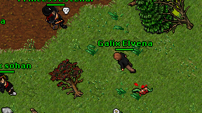 Galix Elvena on screen