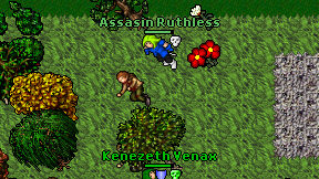 Assasin Ruthless on screen