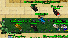 Druid of Holy on screen