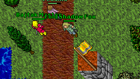 Cold Shadow Fox on screen