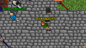 Mokry pies on screen