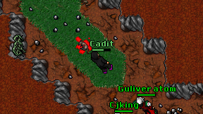 Cadit on screen