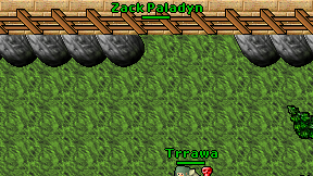 Zack Paladyn on screen