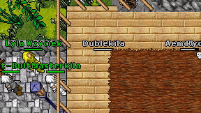 Dublekila on screen