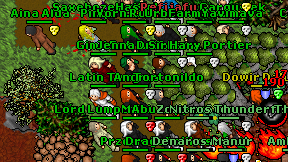 Pinq on screen