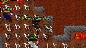 Prince Fanatic on screen