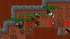 Druida Elemental on screen