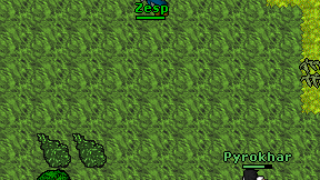 Zesp on screen