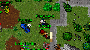 Pudiminii on screen