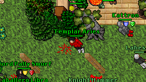 Templar Aries on screen