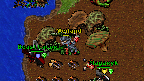 Weiland on screen