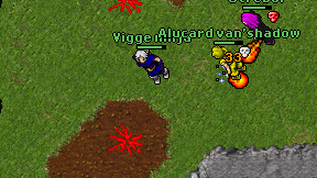 Vigge ninja on screen