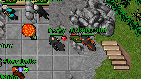 Crixu Druid on screen