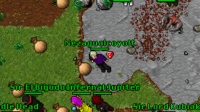 Nezagualcoyolt on screen