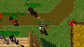 Tizkutia on screen