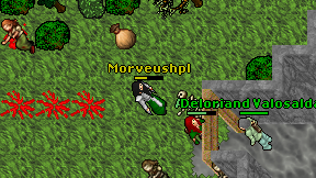 Morveushpl on screen