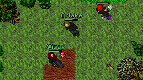 Orlake on screen