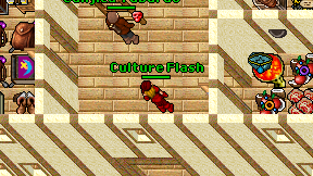 Culture Flash on screen