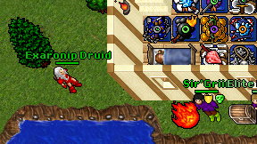 Exaronip Druid on screen